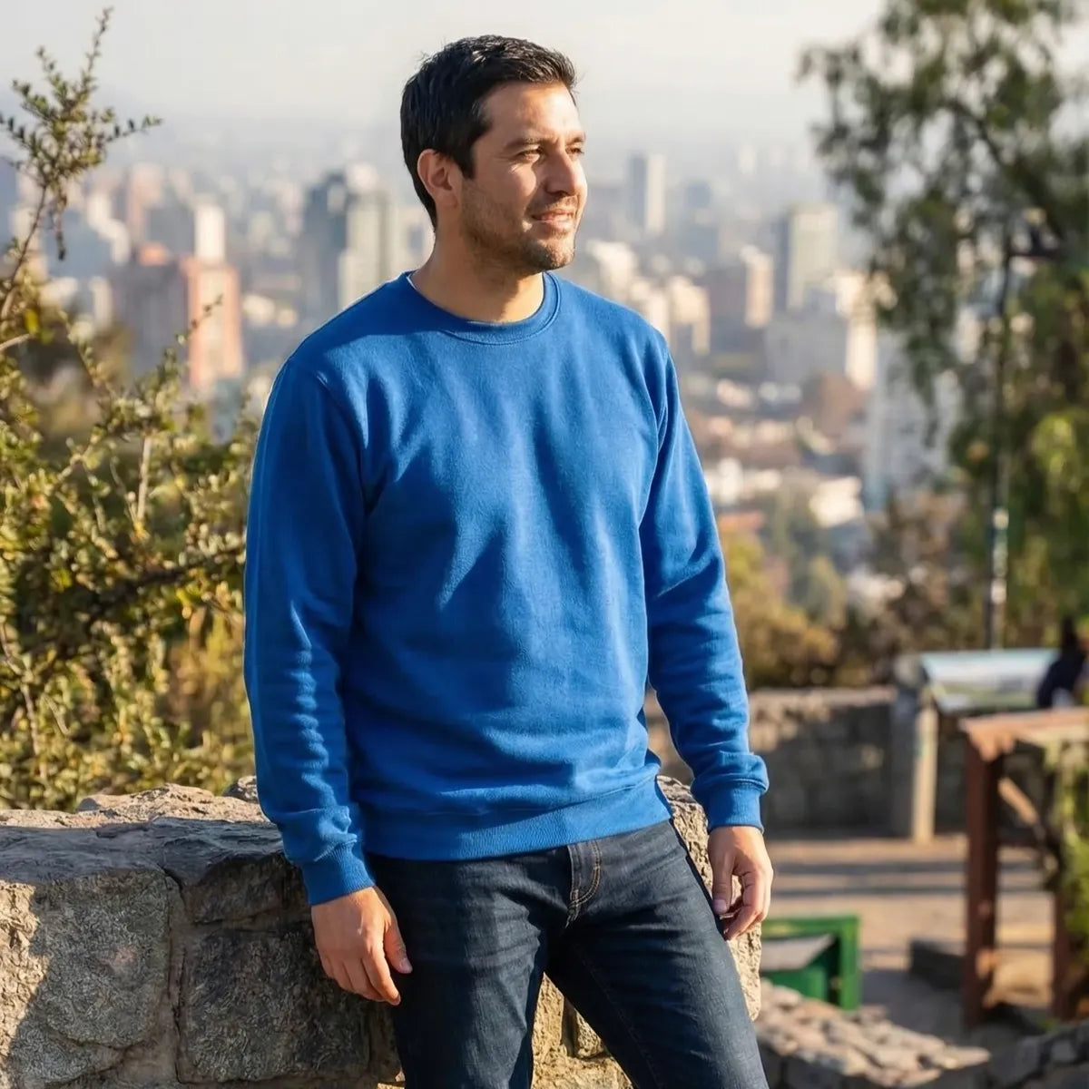 Polerón Unisex Algodón Afranelado Básico Antipilling