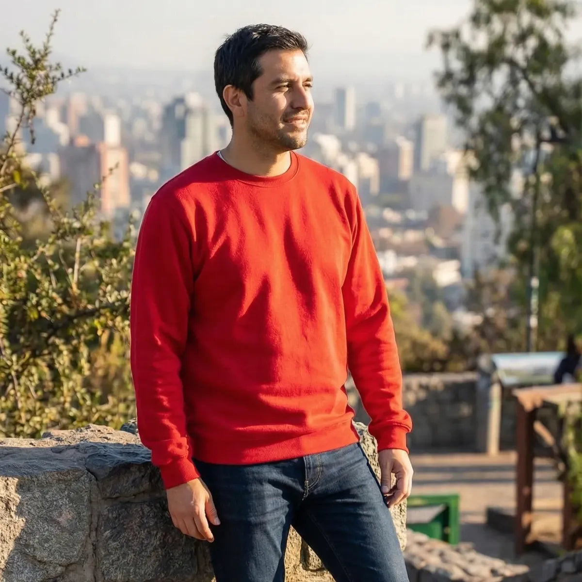 Polerón Unisex Algodón Afranelado Básico Antipilling